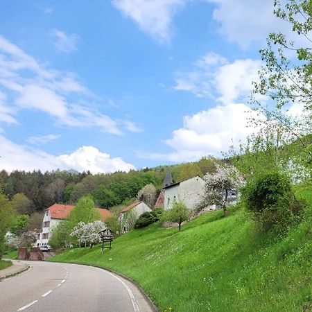 Apartmán Family House Eberbach  Exteriér fotografie