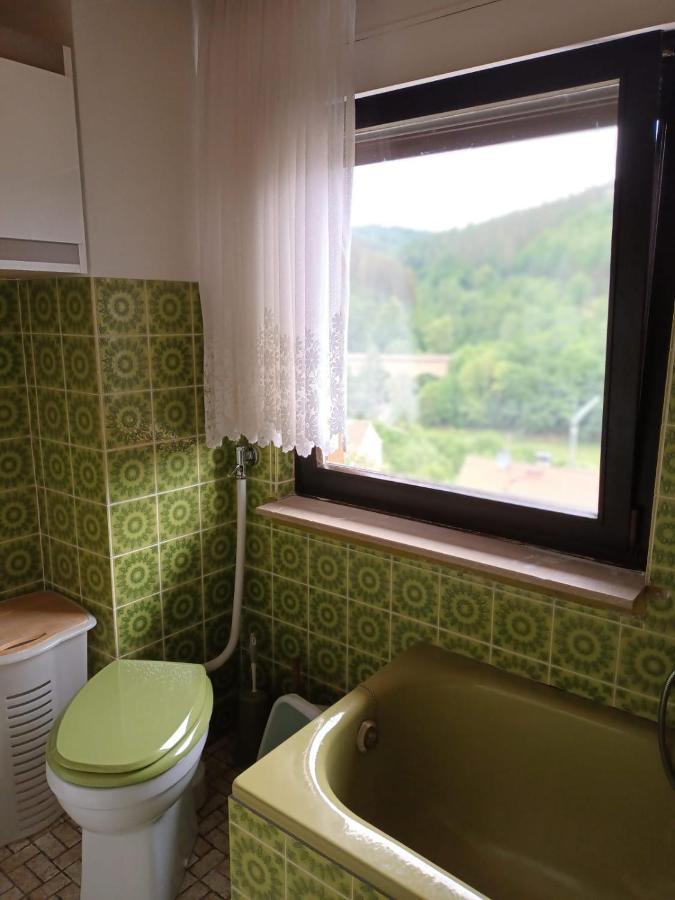 Apartmán Family House Eberbach  Exteriér fotografie