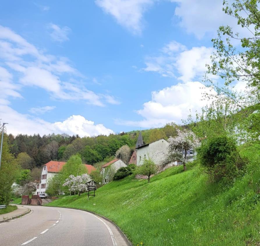 Apartmán Family House Eberbach  Exteriér fotografie